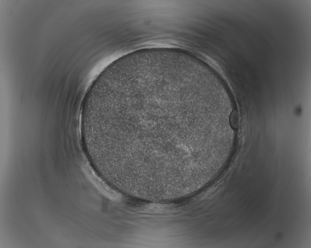 X0000116101179200912211605