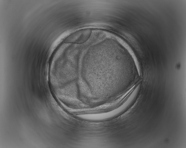 X0000116101180200912211605