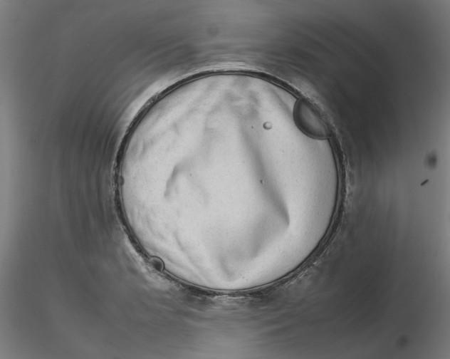 X0000116101181200912211605