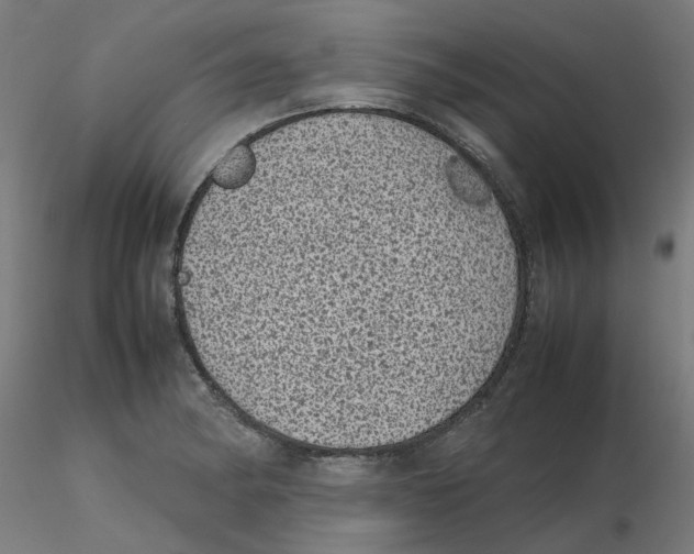 X0000116101182200912211605