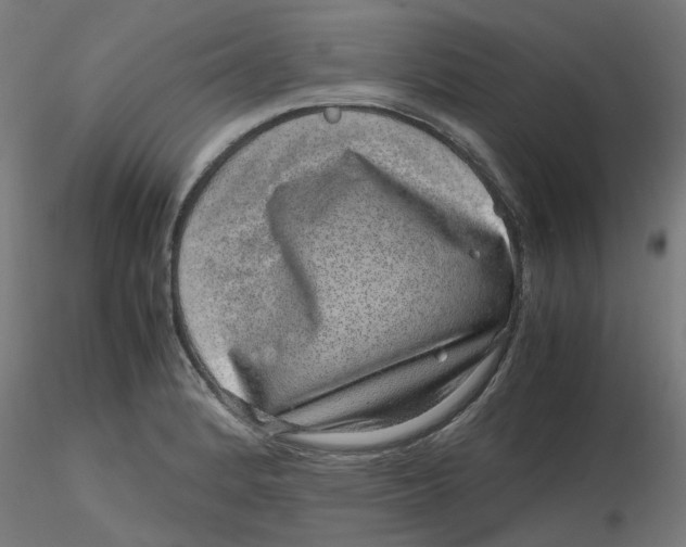 X0000116101184200912211605