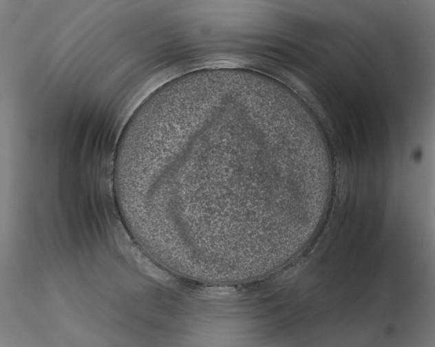 X0000116101186200912211605