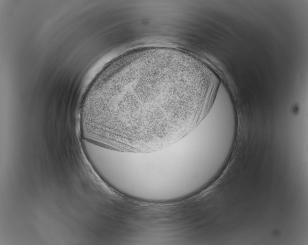 X0000116101188200912211605