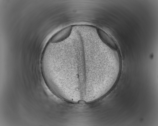 X0000116101189200912211605