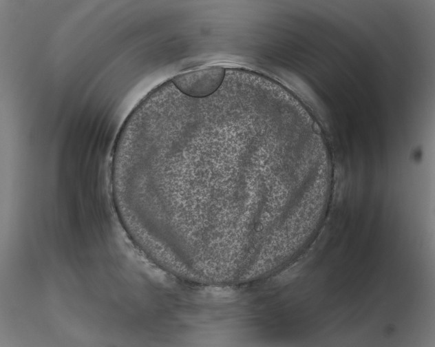 X0000116101190200912211605