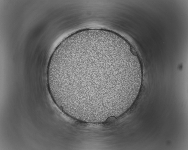 X0000116101191200912211605