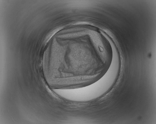 X0000116101193200912211605