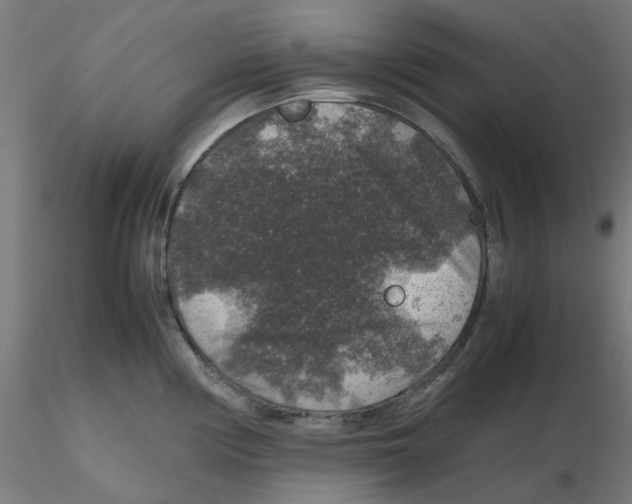 X0000116101194200912211605