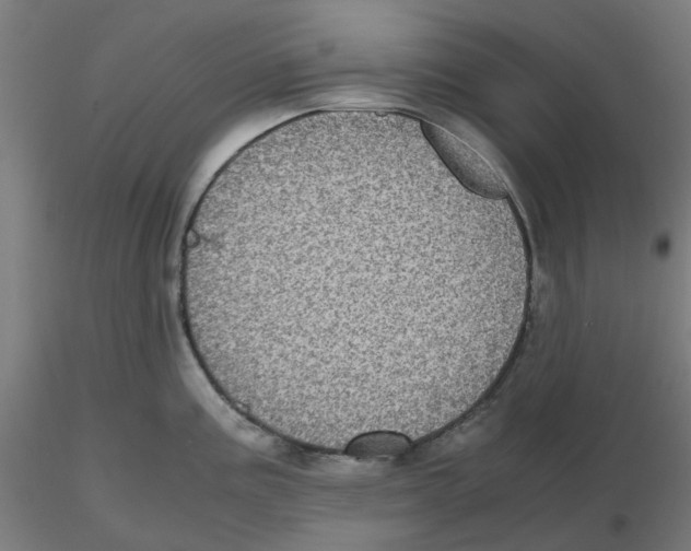 X0000116101195200912211605