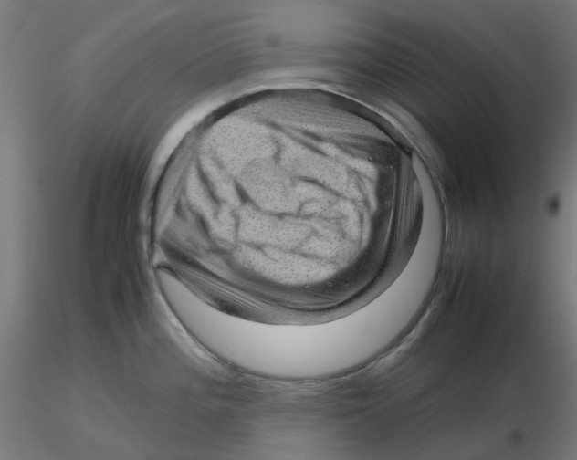 X0000116101196200912211605