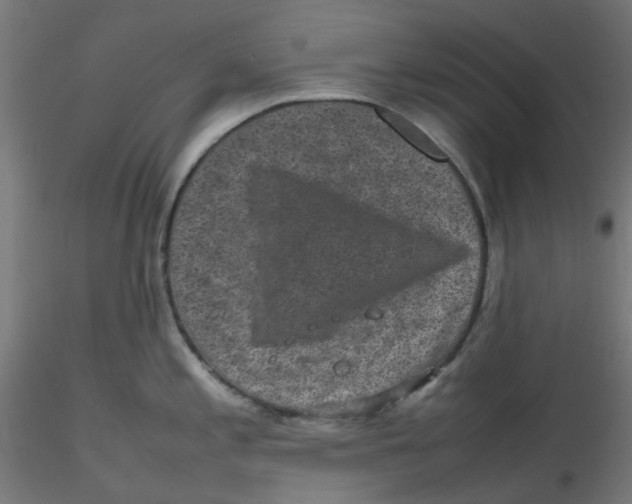 X0000116101197200912211605