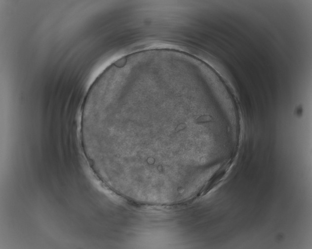 X0000116101198200912211605