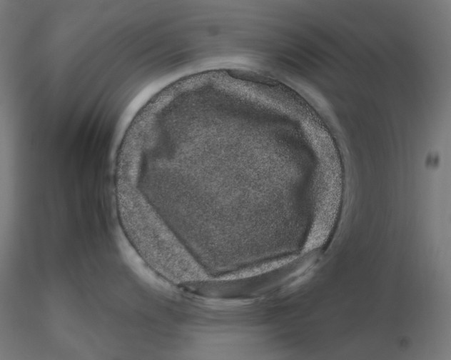 X0000116101200200912211605