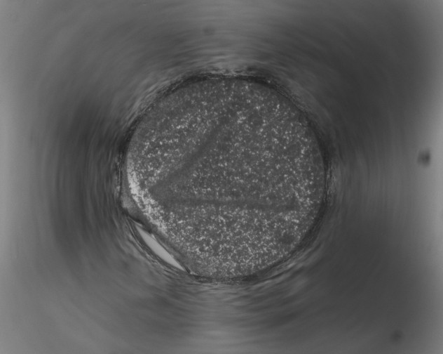 X0000116101202200912211604