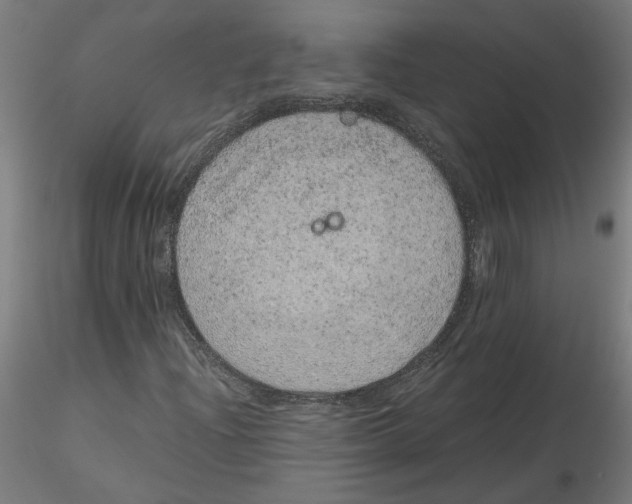 X0000116101204200912211604