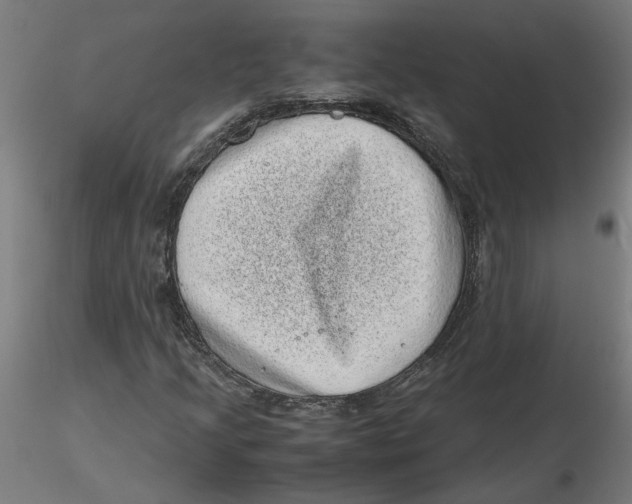 X0000116101205200912211604