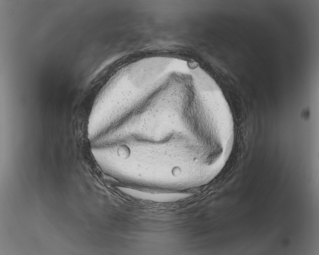 X0000116101206200912211604