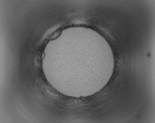 X0000116101207200912211604