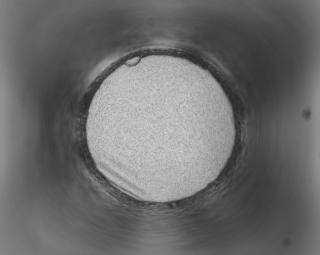 X0000116101208200912211604