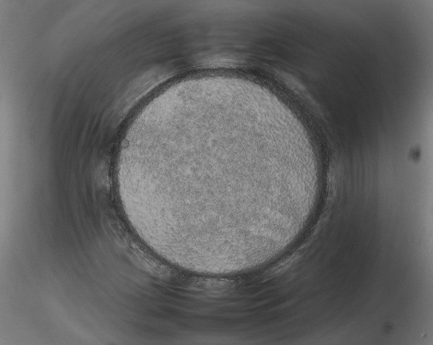 X0000116101209200912211604