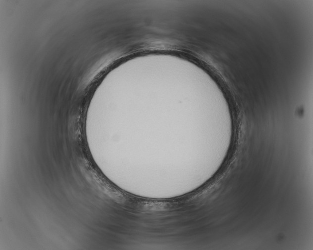 X0000116101211200912211604