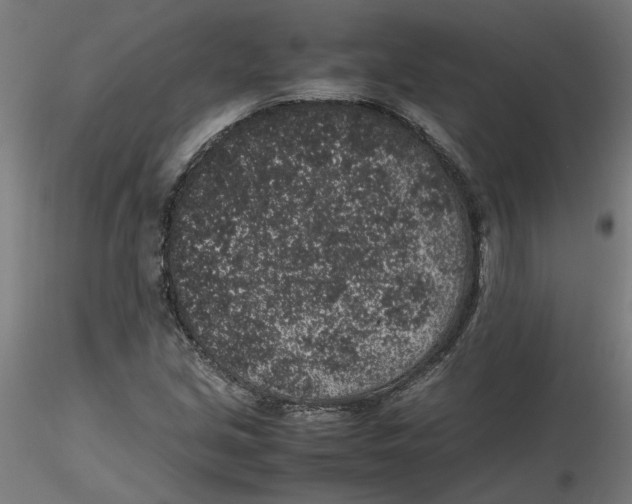 X0000116101213200912211604