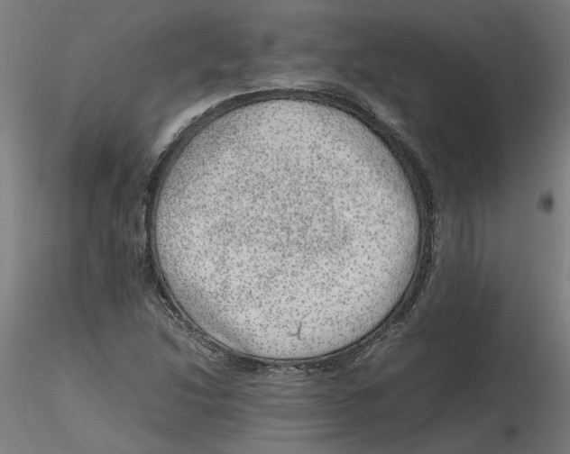 X0000116101214200912211604