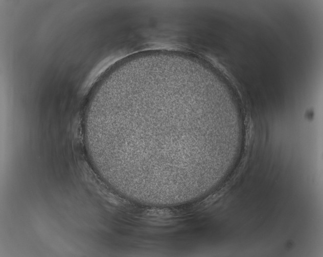 X0000116101215200912211604