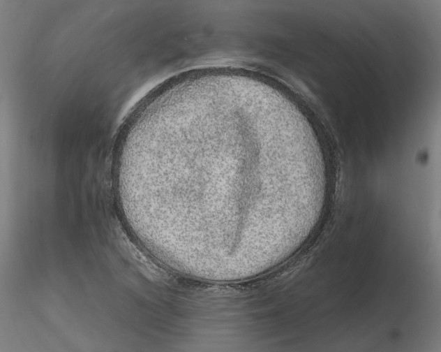 X0000116101216200912211604