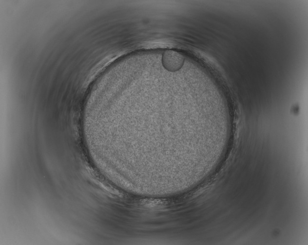 X0000116101217200912211604