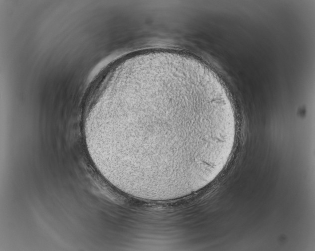 X0000116101222200912211604