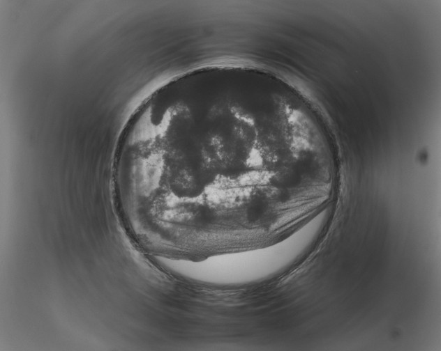 X0000116101229200912211604