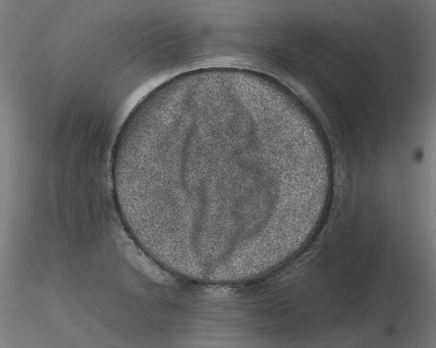 X0000116101230200912211604