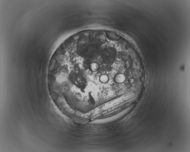 X0000116101231200912211604