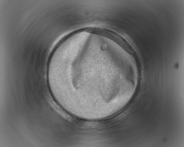 X0000116101232200912211604