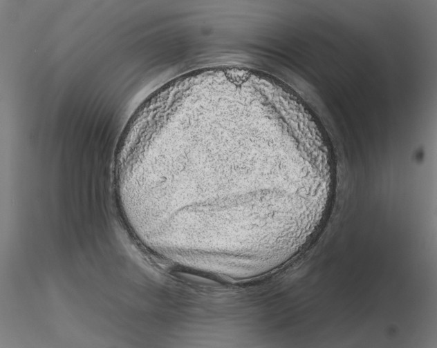 X0000116101234200912211604