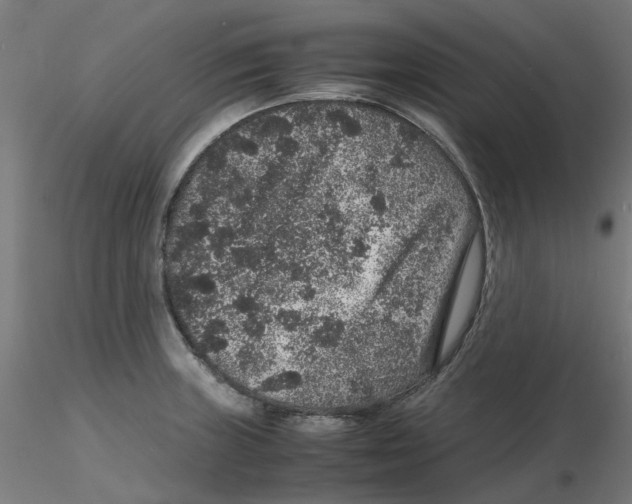 X0000116101235200912211604