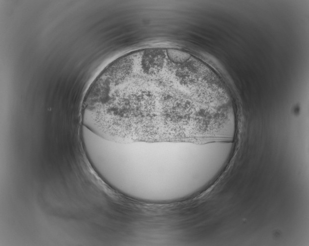 X0000116101236200912211604