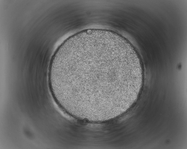 X0000116101237200912211604