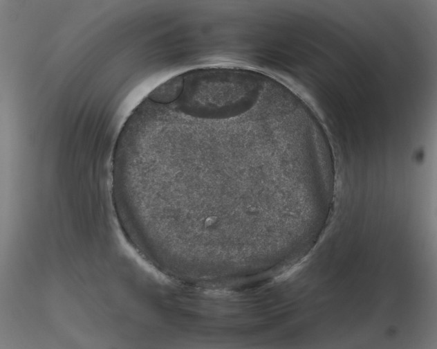 X0000116101239200912211605