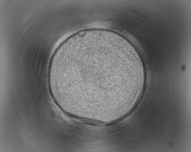 X0000116101240200912211605