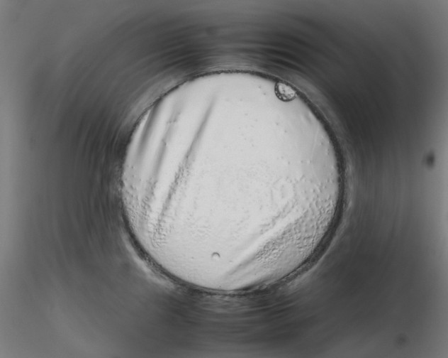 X0000116101241200912211605