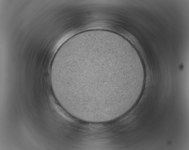 X0000116101242200912211605