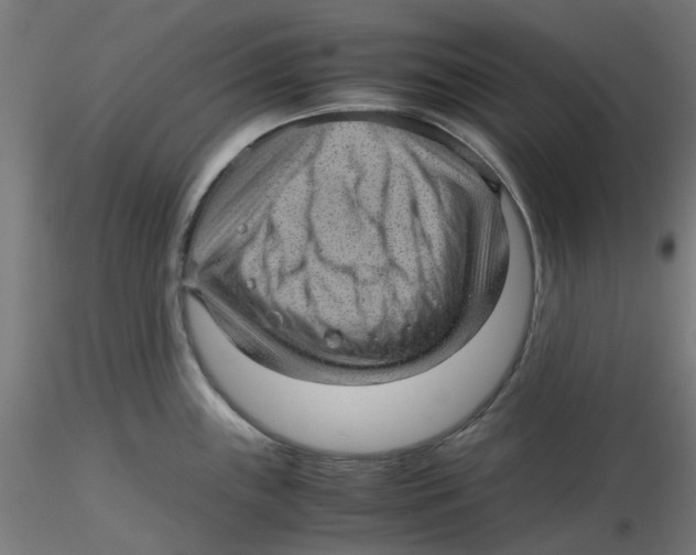 X0000116101243200912211605