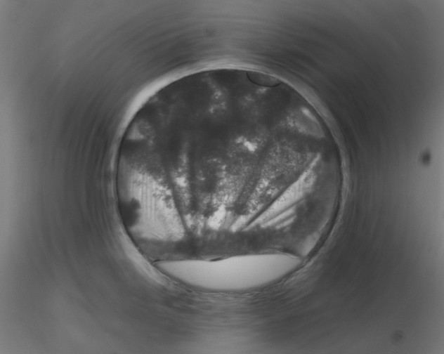 X0000116101246200912211605