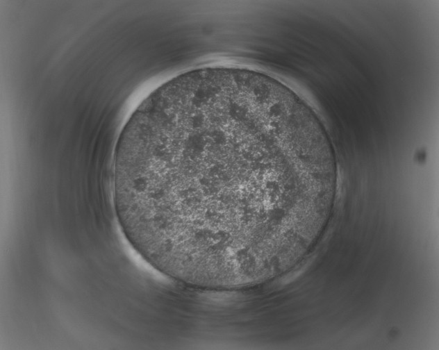 X0000116101247200912211605