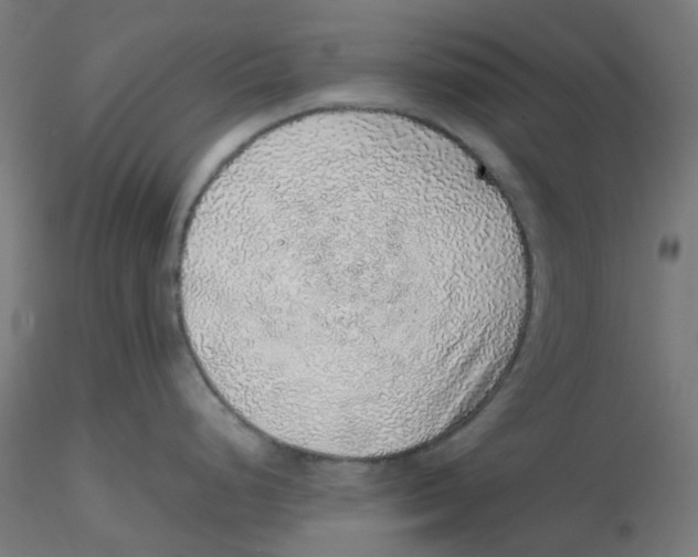 X0000116101248200912211605