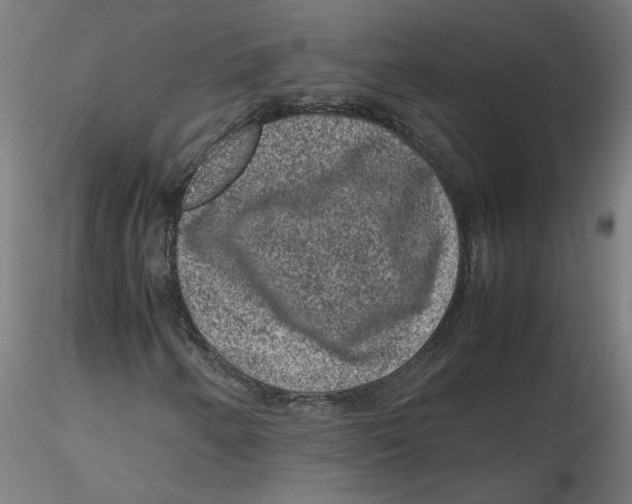 X0000116101250200912211604