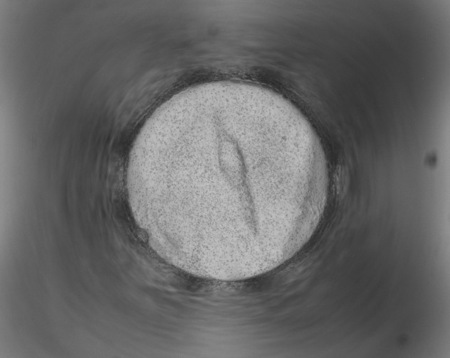 X0000116101251200912211604