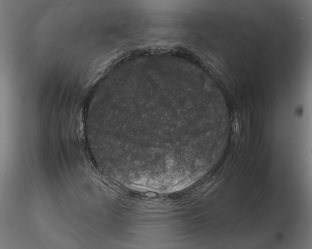 X0000116101252200912211604